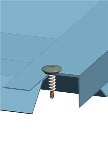 Farmerschroef 4,8x20 - RAL 8004 (Terracotta) - TTAP Aandrijving - EPDM Ring