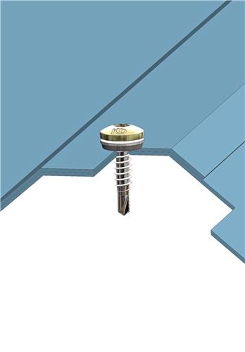 RVS Bi-metaal Boorschroef 4,8x20 mm met 10 mm Afdichtingsring - RAL9010 Zuiver wit, Boorpunt #1